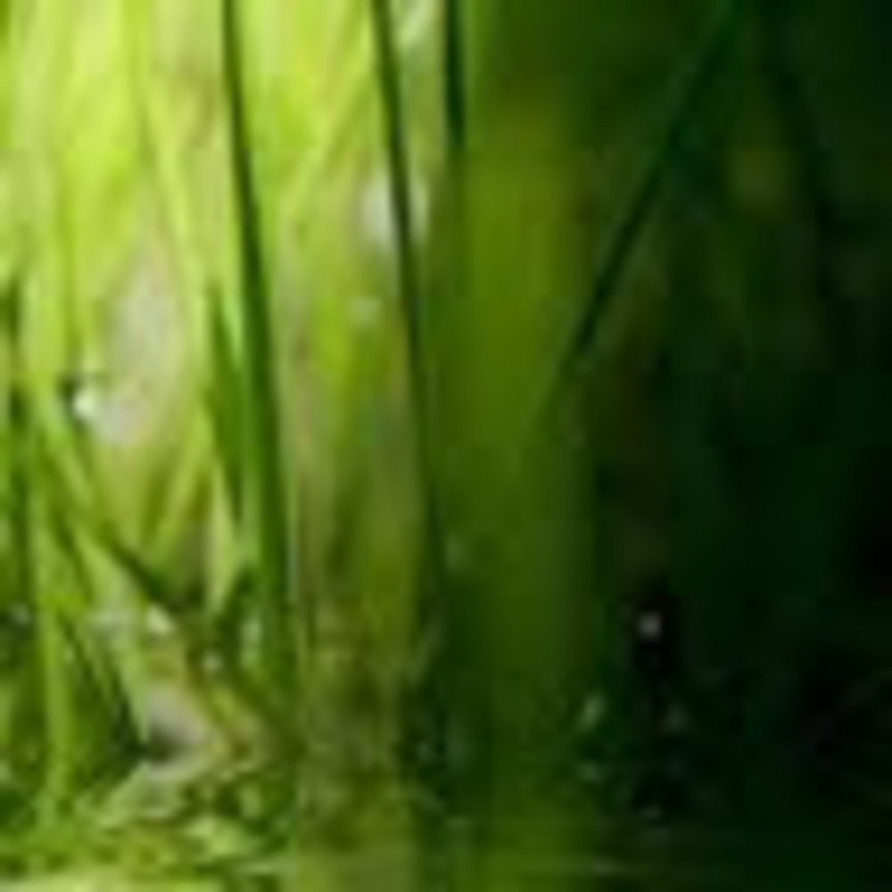 Meet your Posher, Mai